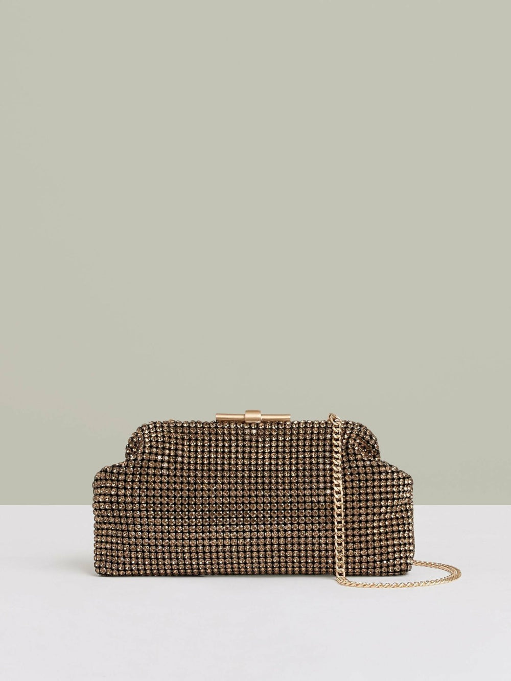 Embellished Clutch Bag in Gold