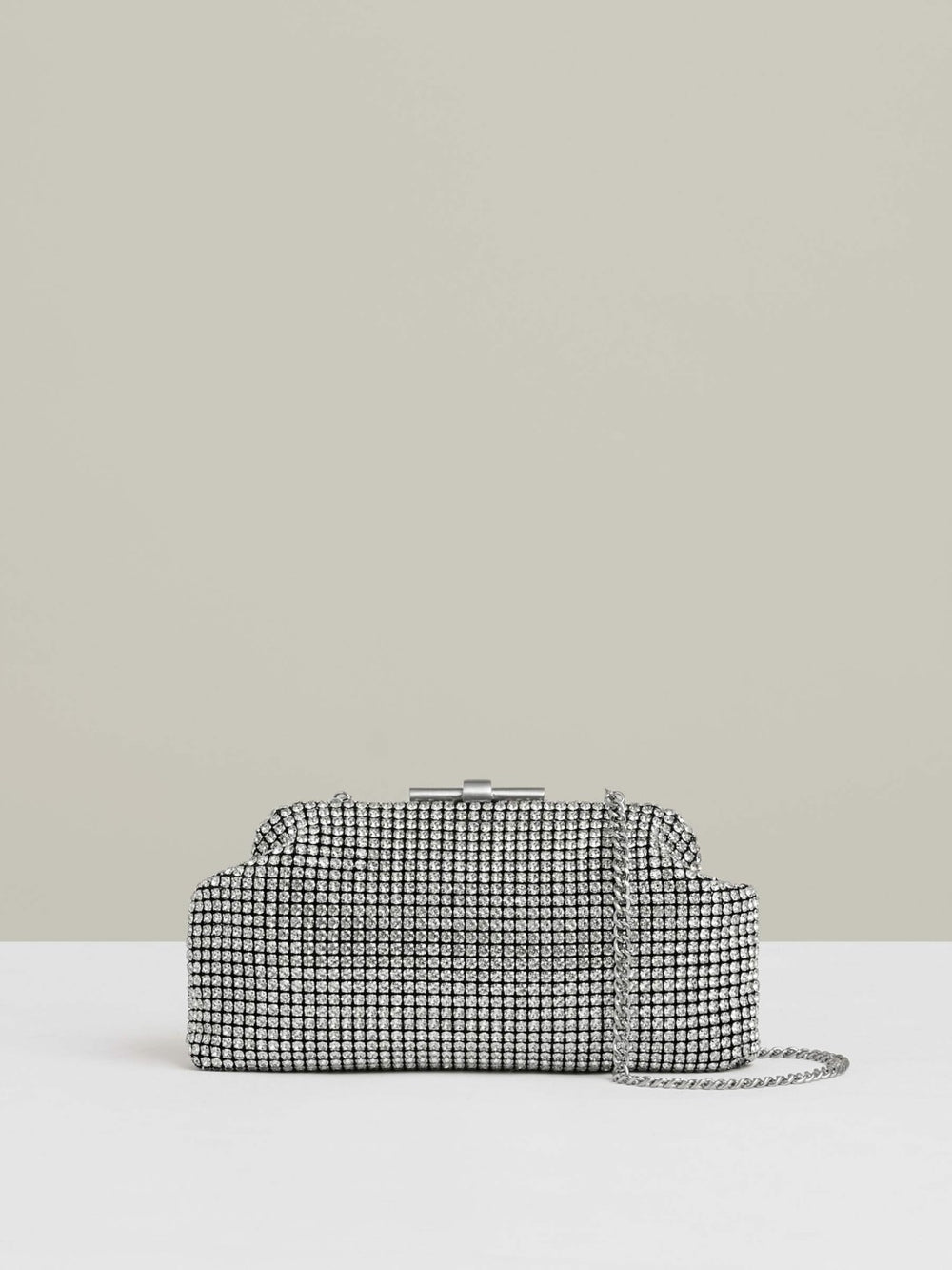 Embellished Clutch Bag in Silver