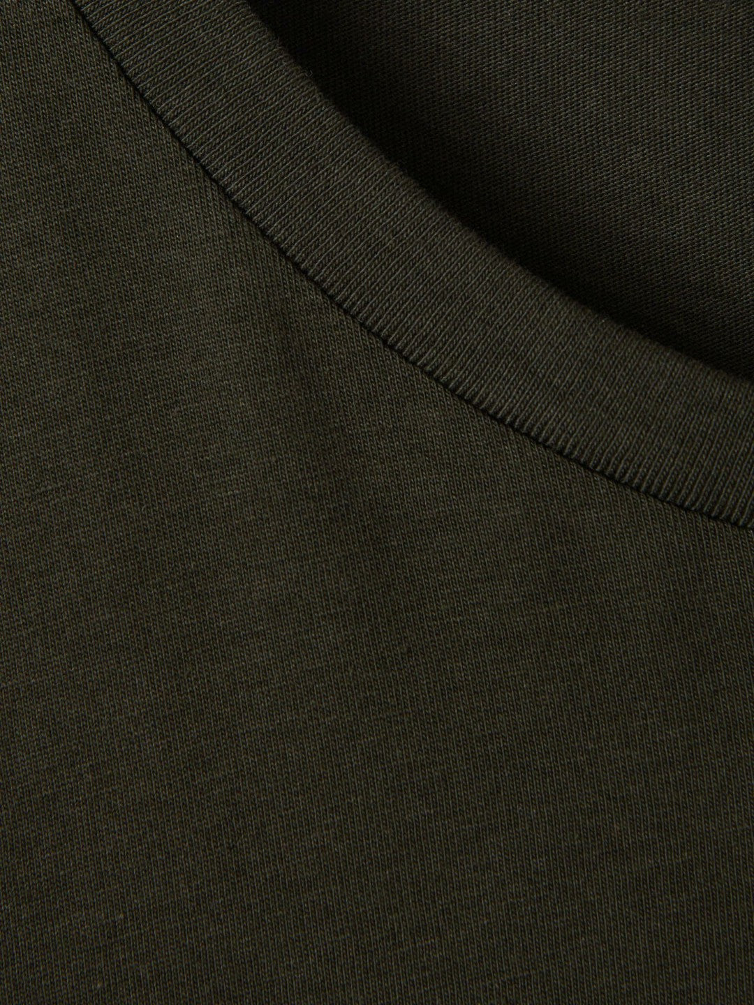 Cotton Crew Neck T-Shirt in Oxidised Green