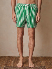 | Ché Stripe Swim Shorts in Green/White