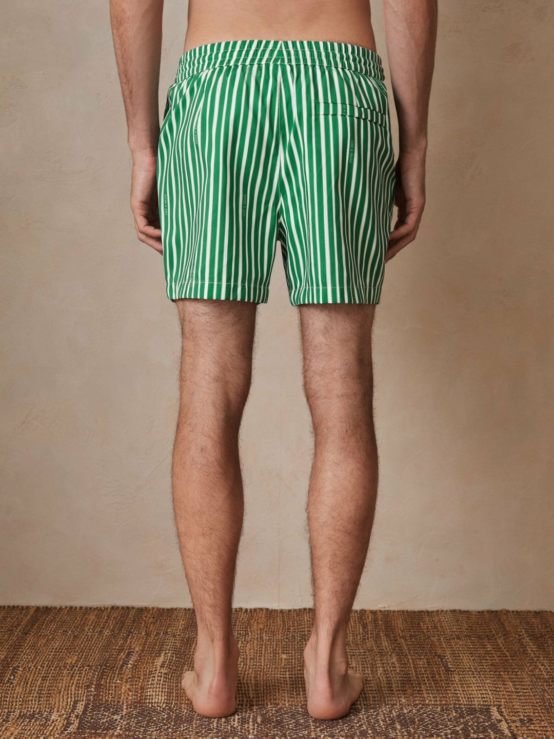 | Ché Stripe Swim Shorts in Green/White
