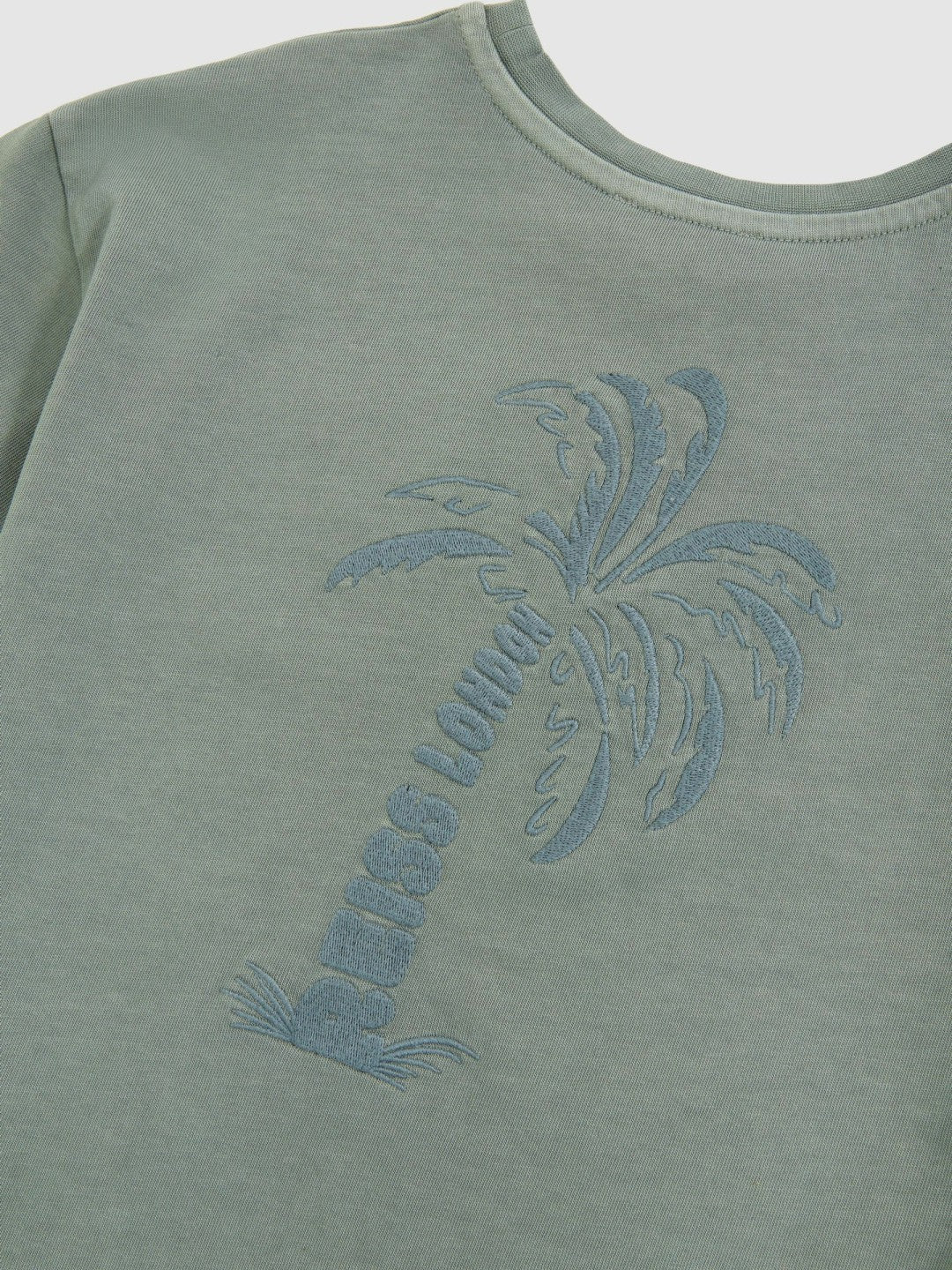3-9 yrs Cotton Palm-Embroidery Oversize T-Shirt in Washed Sage