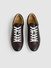 Leather Low-Top Trainers in Plum Purple
