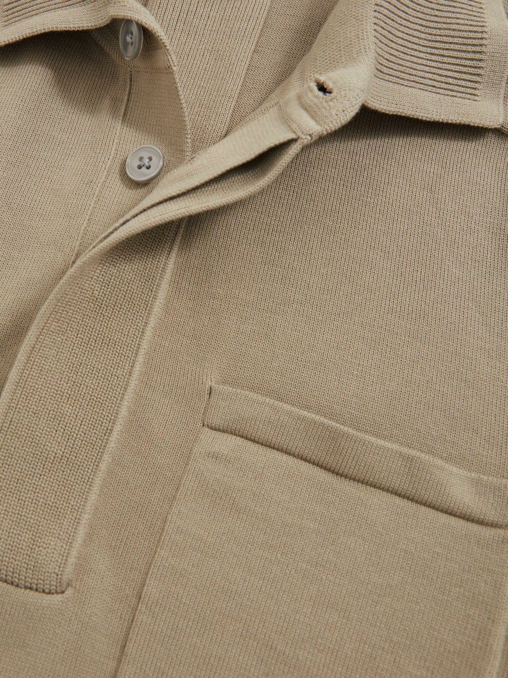 Cotton Concealed Placket Polo Shirt in Light Sage Green